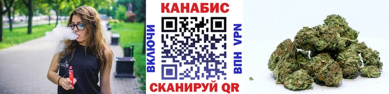Бошки Шишки гибрид  Болохово 